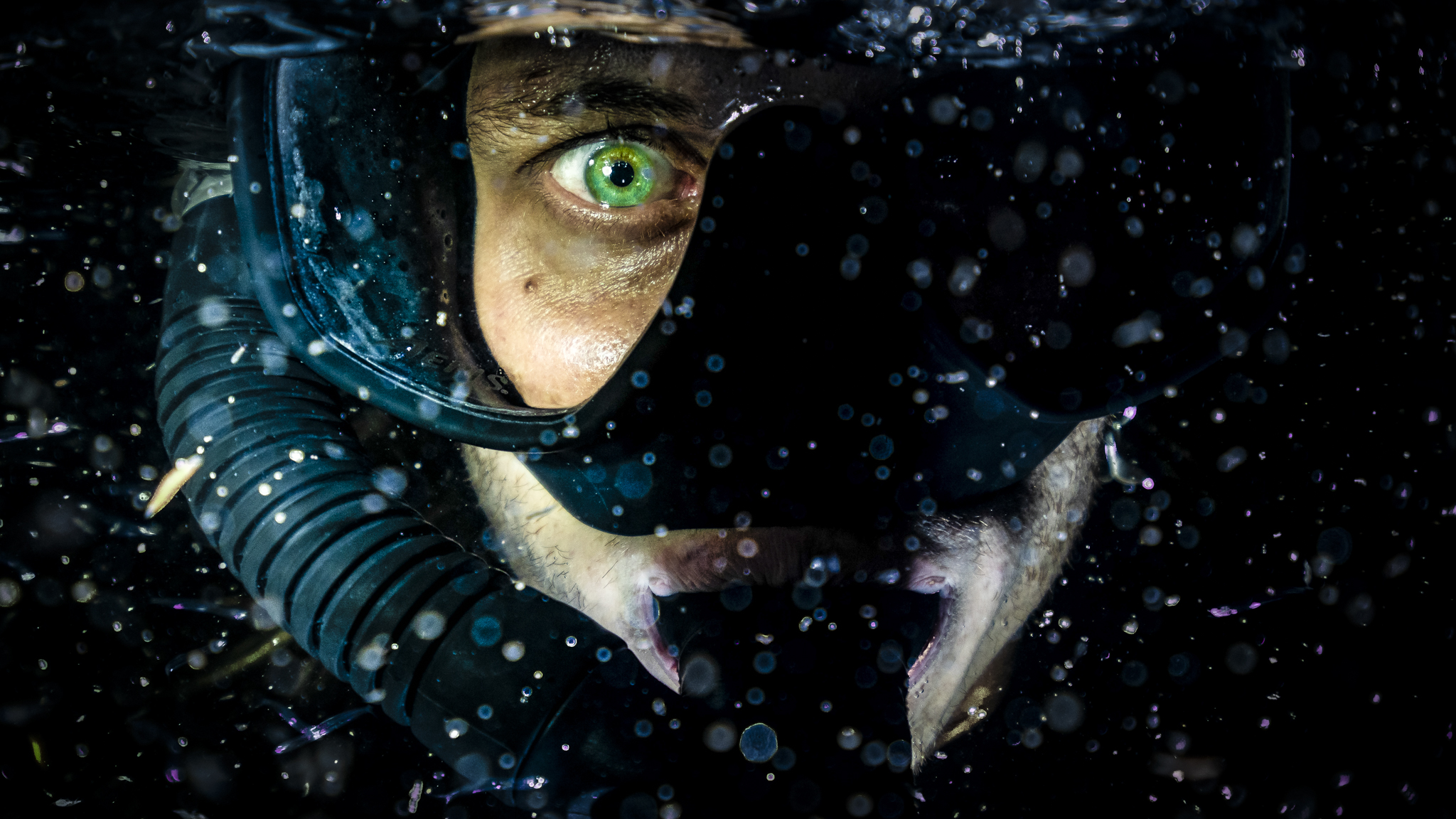 Revolution of Life: Coral Spawning on the Great Barrier Reef