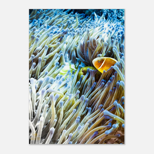 09529440-3581-491b-a5ce-b26ee7f39bae