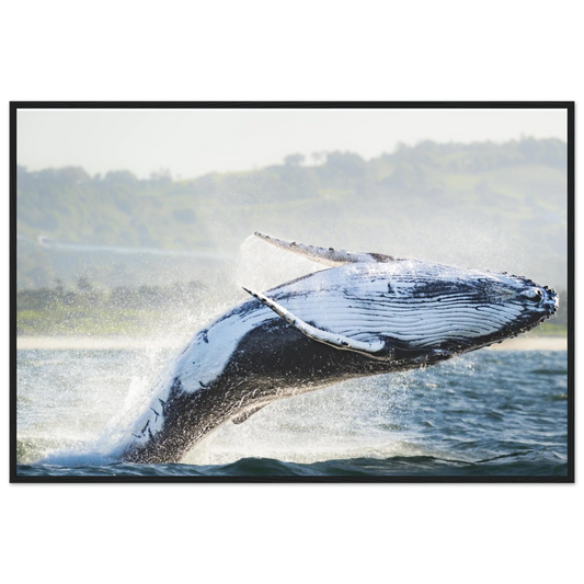 0f34a806-8a99-4c57-a941-75e29185670d