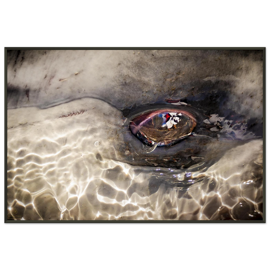 3497cdee-7b87-4fa1-95ff-976de999b148