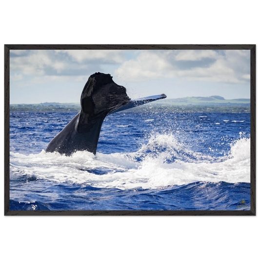 7d8edff6-0aaa-4cb1-9ec9-601cb7bdca19