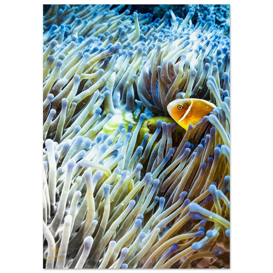 951e098b-0550-435c-b4c2-1b3089a18c10