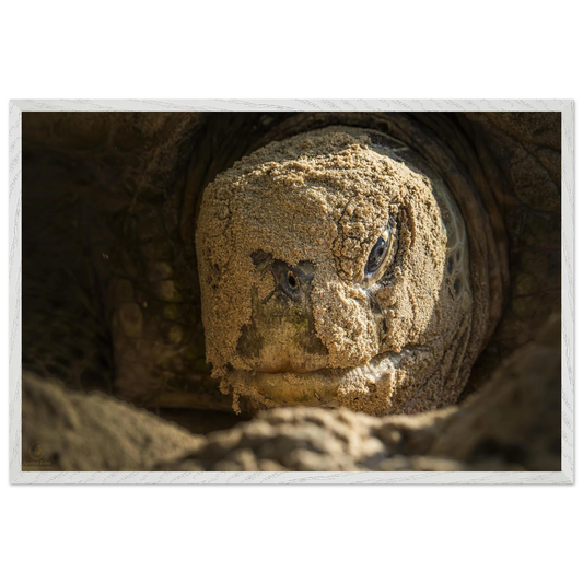 b32e9301-9531-4ce0-b8b1-8b2debb99b5c