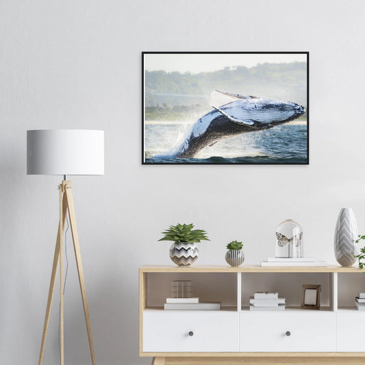 c1cafe2e-3934-4781-8669-81ab612f3839