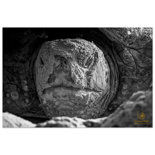 cc1b5216-f082-4b79-b8f2-1a1ff9838b18